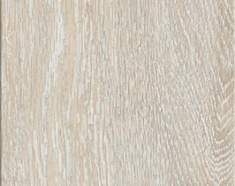 [200111133_20] Creation 30 - 0584 White Lime
